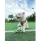 Ballon de Foot Interactif pour Chiens